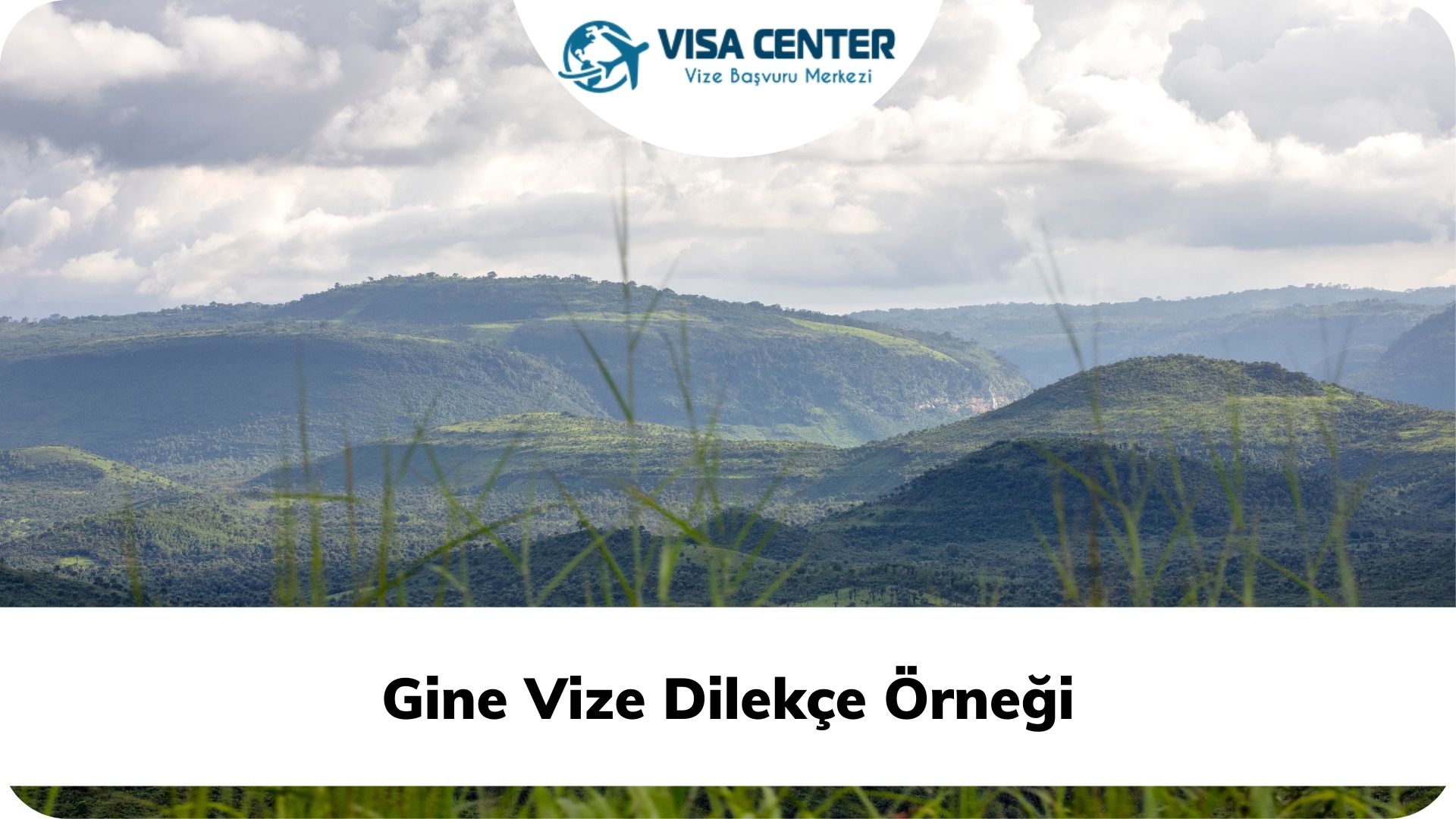 Gine Vize Dilekçe Örneği