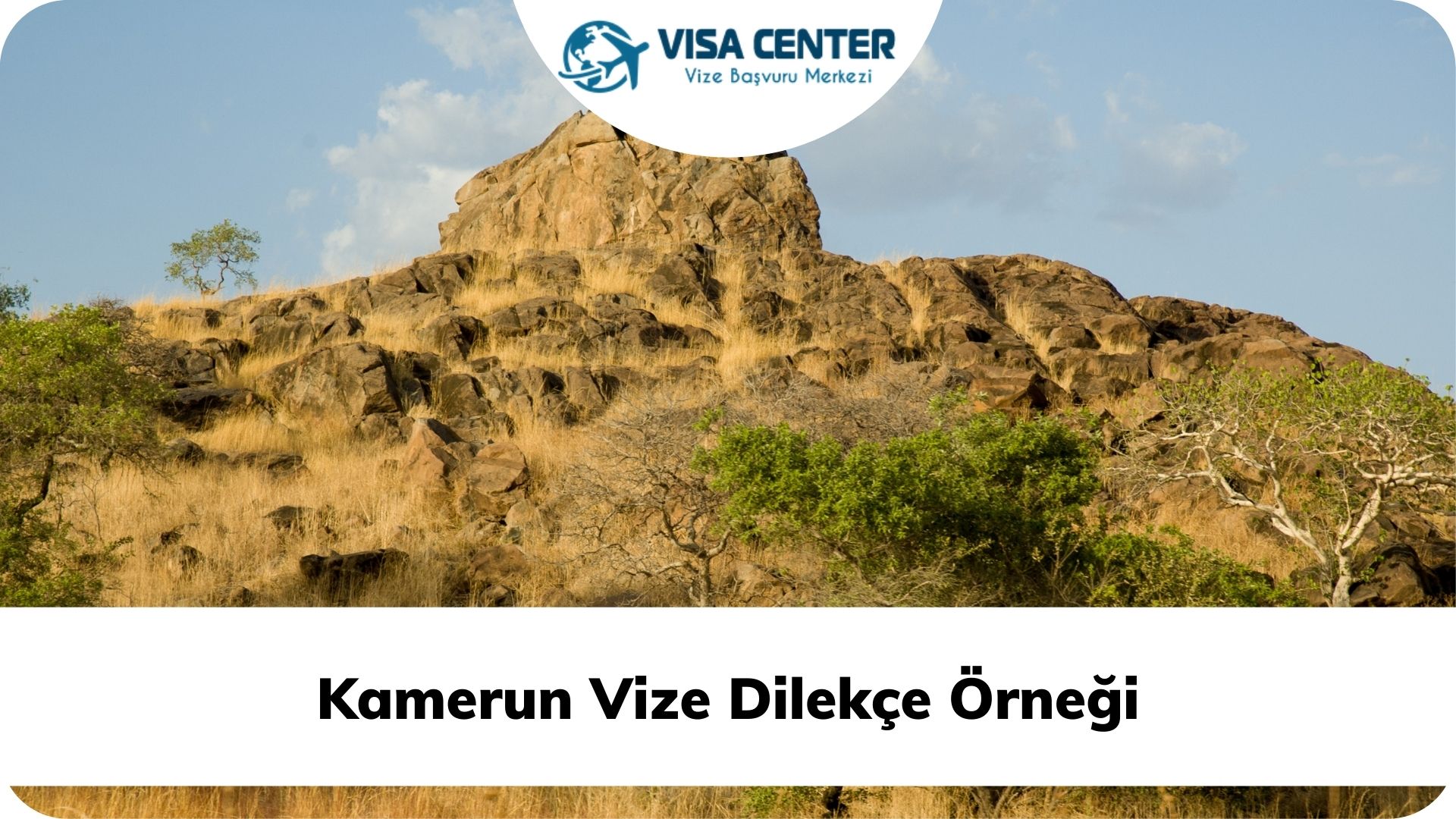 Kamerun Vize Dilekçe Örneği