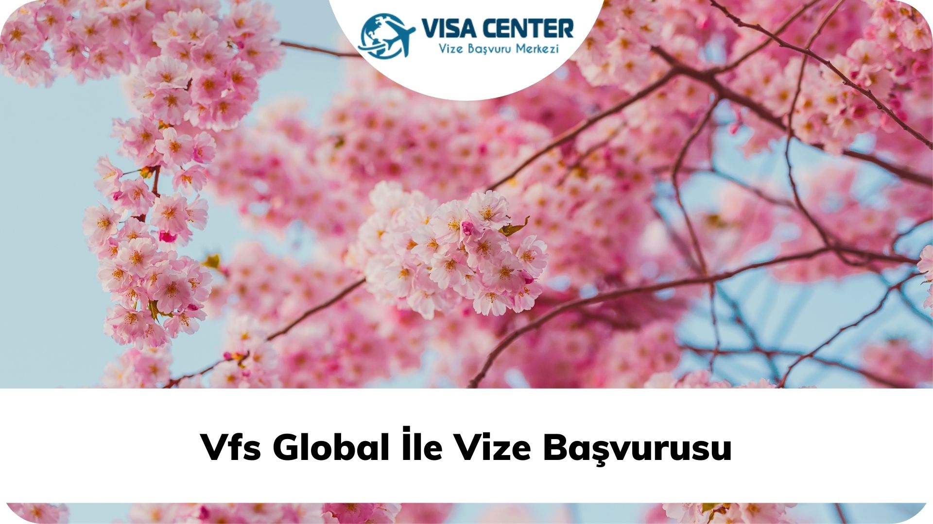 Vfs Global İle Vize Başvurusu